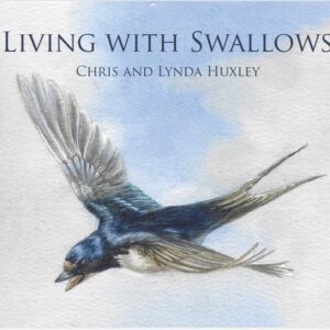 Living with Swallows